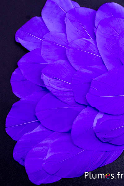Pétales en plumes - 6-8 x 3-4 cm - violet